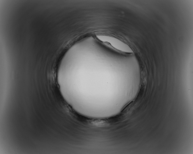 X0000083020669200703022005