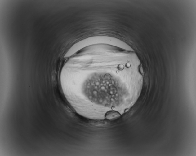 X0000083020670200703022005