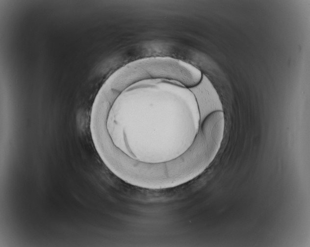 X0000083020672200703022005