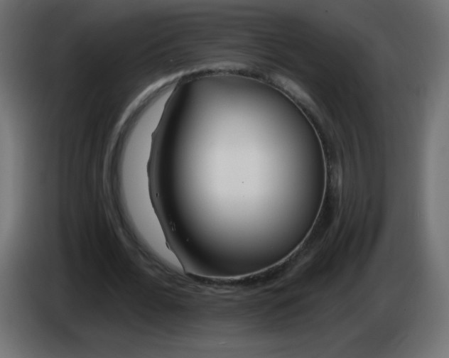 X0000083020676200703022004