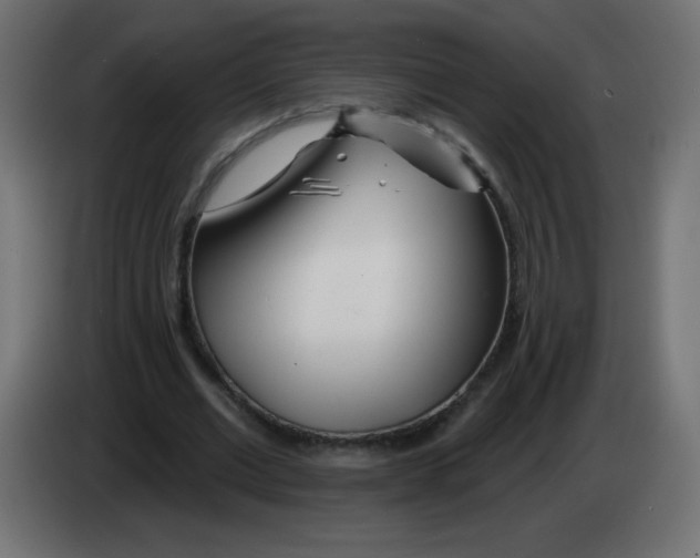 X0000083020677200703022004