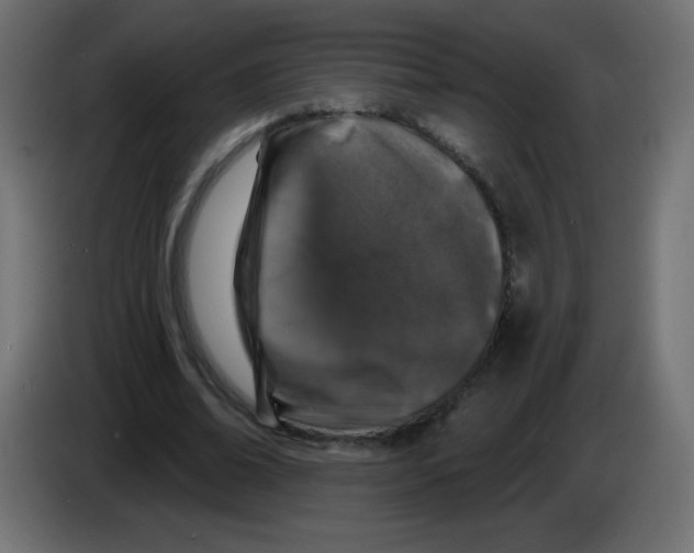 X0000083020678200703022004