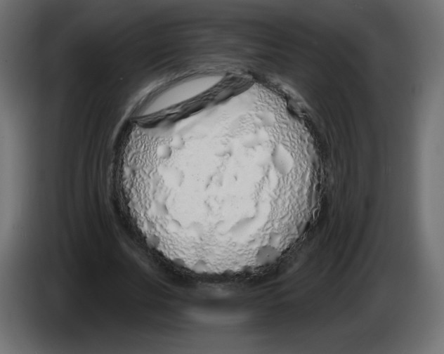 X0000083020679200703022004