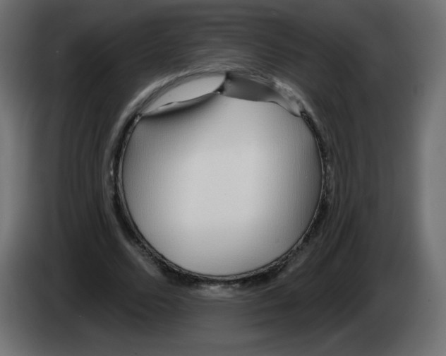 X0000083020680200703022004