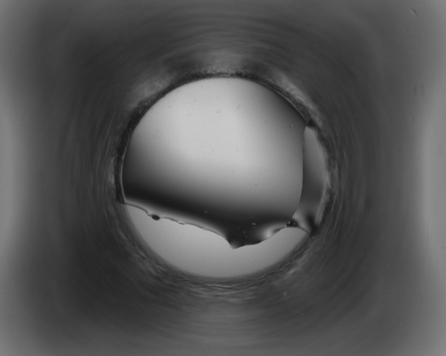 X0000083020681200703022004