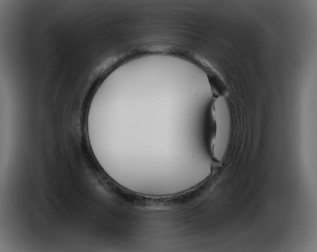 X0000083020682200703022004