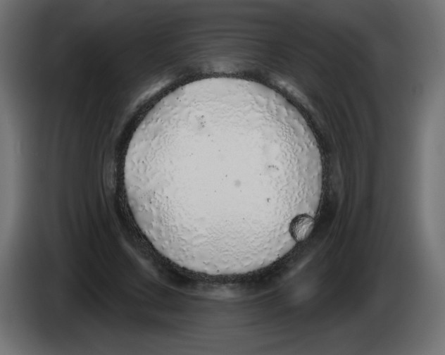 X0000083020683200703022004