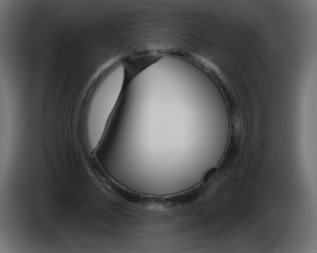 X0000083020684200703022004