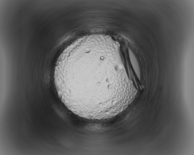 X0000083020687200703022004