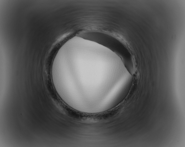 X0000083020688200703022004