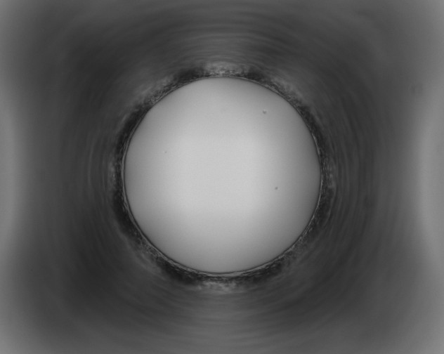 X0000083020690200703022004