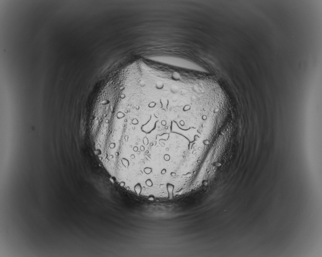 X0000083020691200703022004