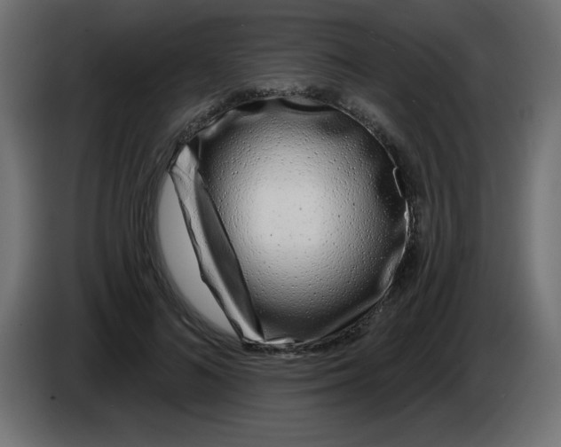 X0000083020692200703022004