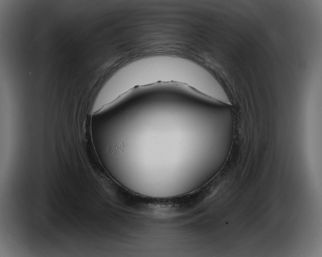 X0000083020693200703022004