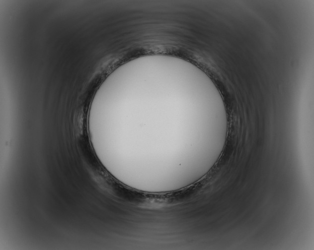 X0000083020694200703022004