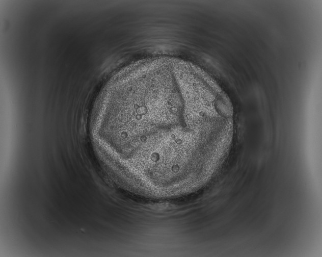 X0000083020695200703022004