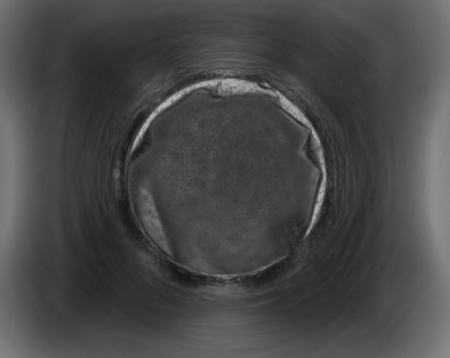 X0000083020696200703022004