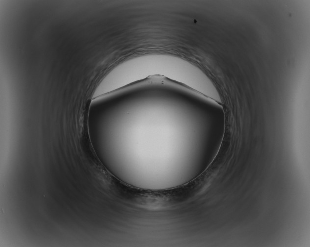 X0000083020697200703022004