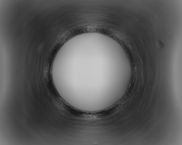 X0000083020698200703022004