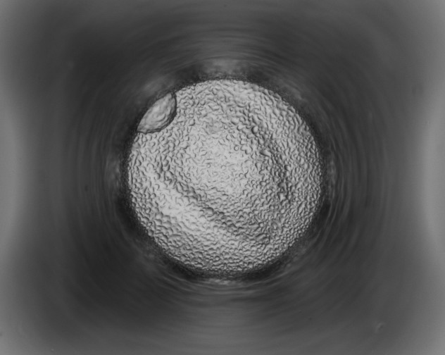 X0000083020699200703022004