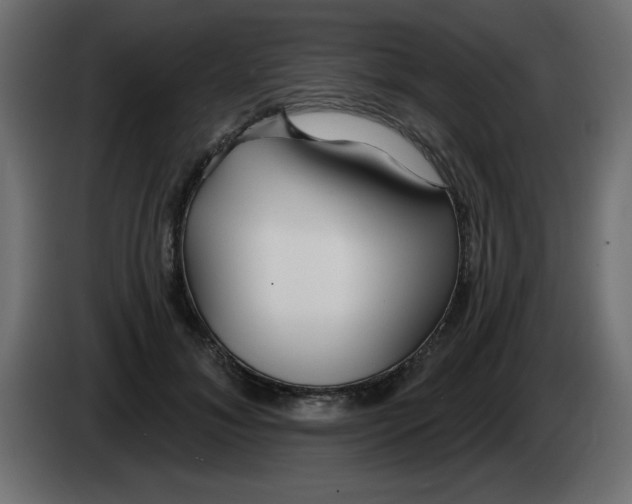 X0000083020700200703022004