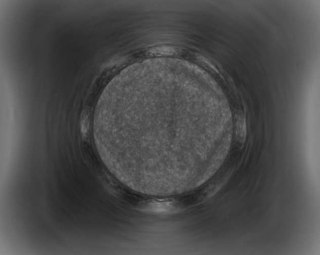 X0000083020701200703022004