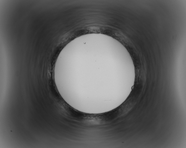 X0000083020702200703022004