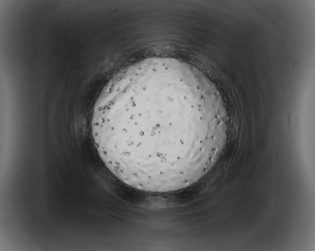 X0000083020703200703022004