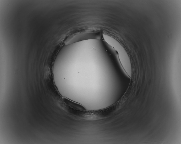 X0000083020704200703022004