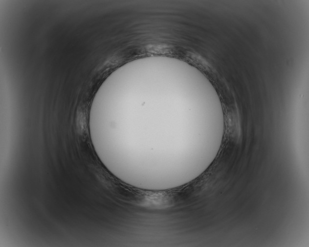 X0000083020705200703022004