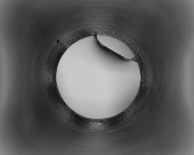 X0000083020706200703022004