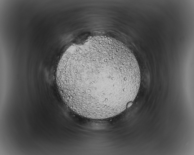 X0000083020707200703022004