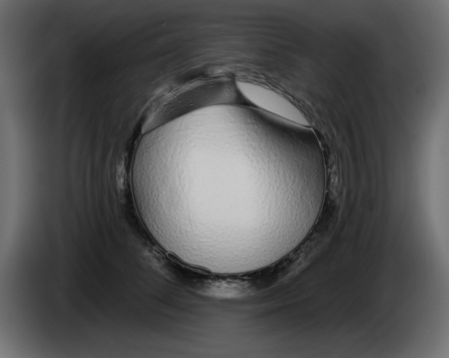 X0000083020708200703022004