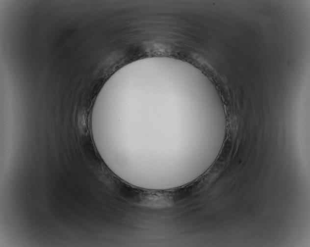 X0000083020709200703022004