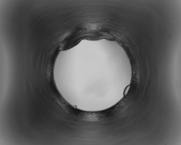 X0000083020710200703022004