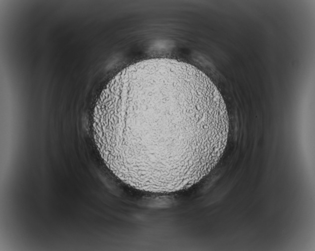 X0000083020711200703022004