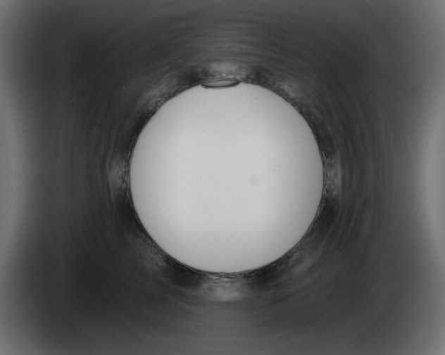 X0000083020713200703022004