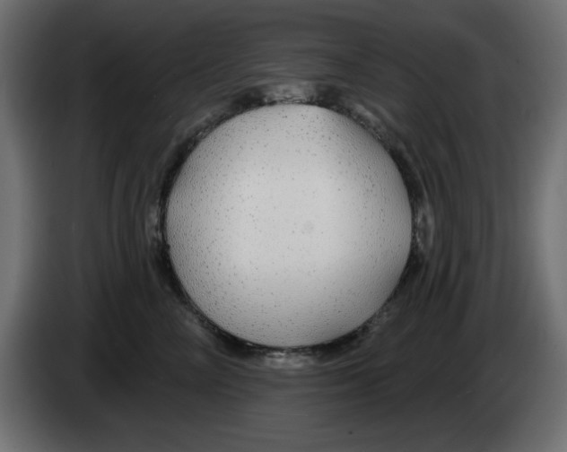 X0000083020714200703022004