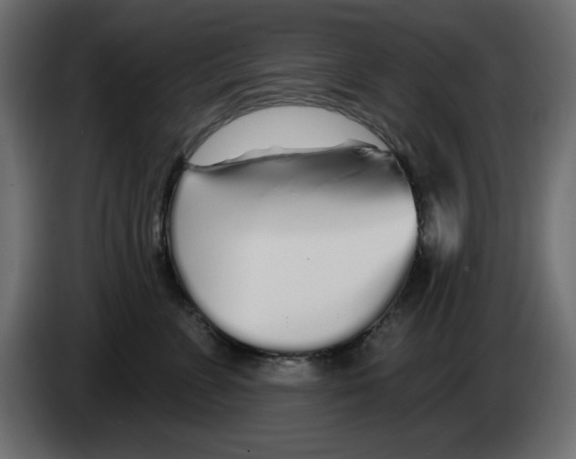 X0000083020715200703022004