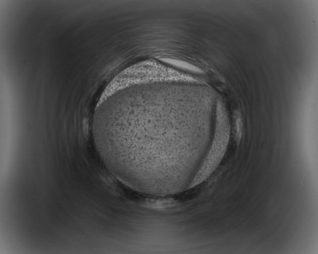 X0000083020716200703022004