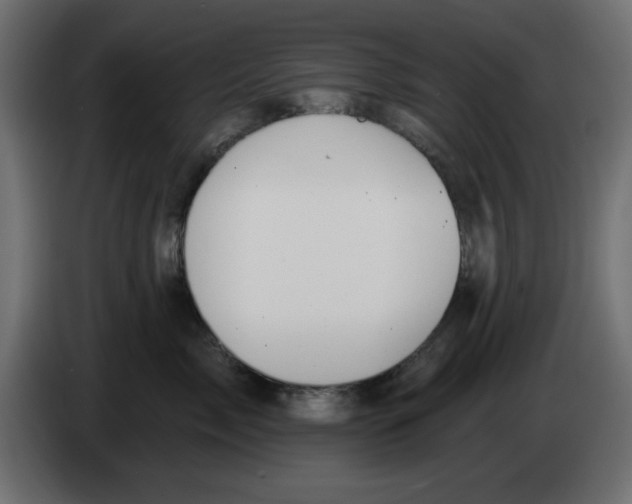 X0000083020717200703022004