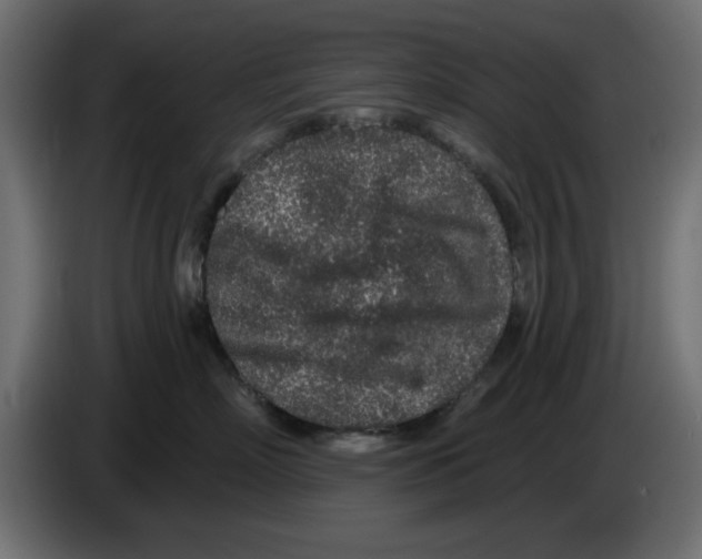 X0000083020718200703022004