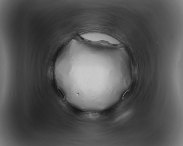 X0000083020719200703022004