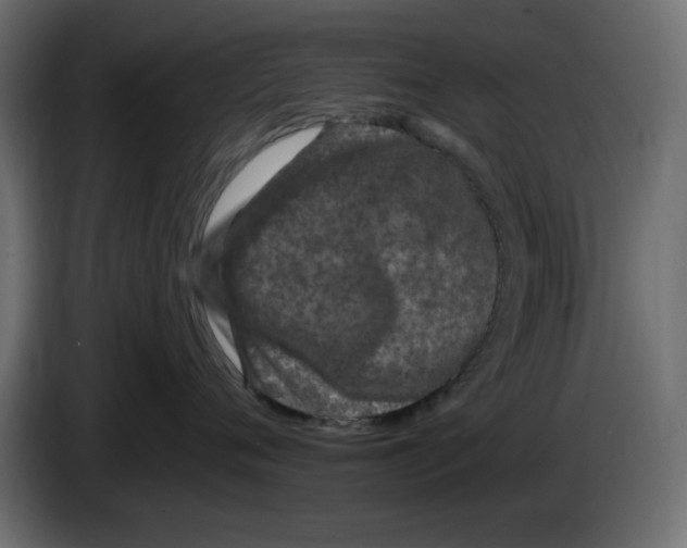 X0000083020720200703022004