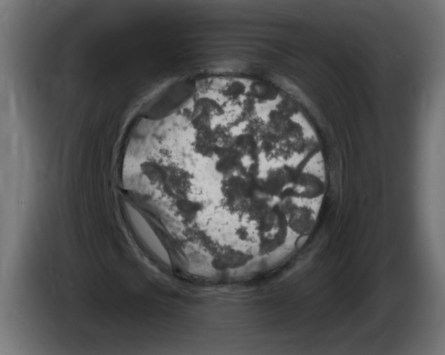 X0000083020721200703022003