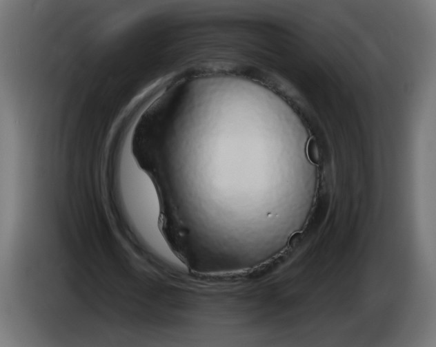 X0000083020722200703022003