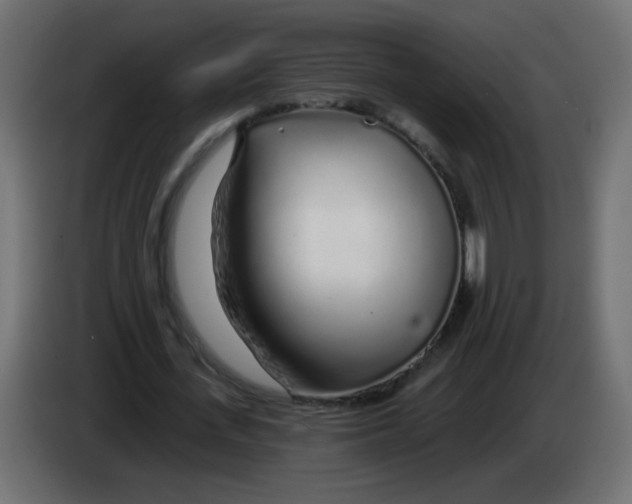 X0000083020723200703022003