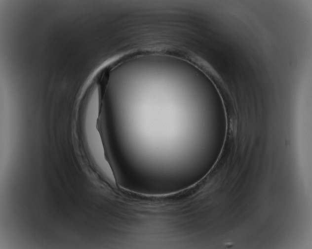 X0000083020724200703022003