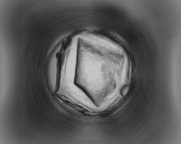 X0000083020725200703022003