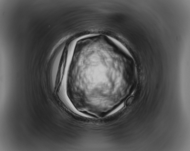 X0000083020727200703022003